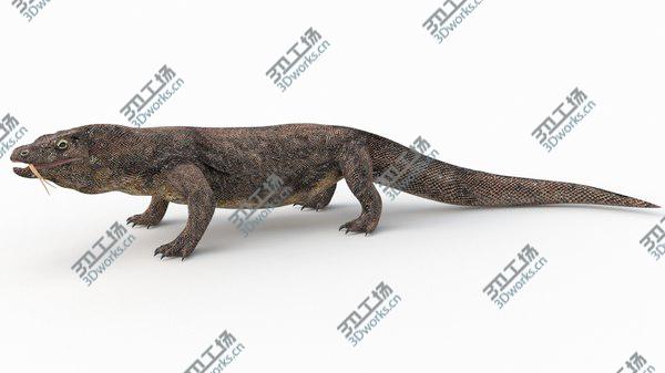 images/goods_img/20210312/3D Komodo Dragon Rigged/5.jpg